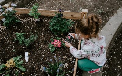 Emphasize the importance and potential of gardens