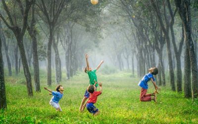 Protecting and planting trees, a global responsibility
